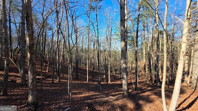 128R Red Oak Trail, East Ellijay, GA 30540