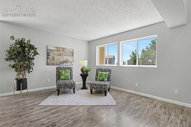 1010 Magic Lamp Way A, Monument, CO 80132
