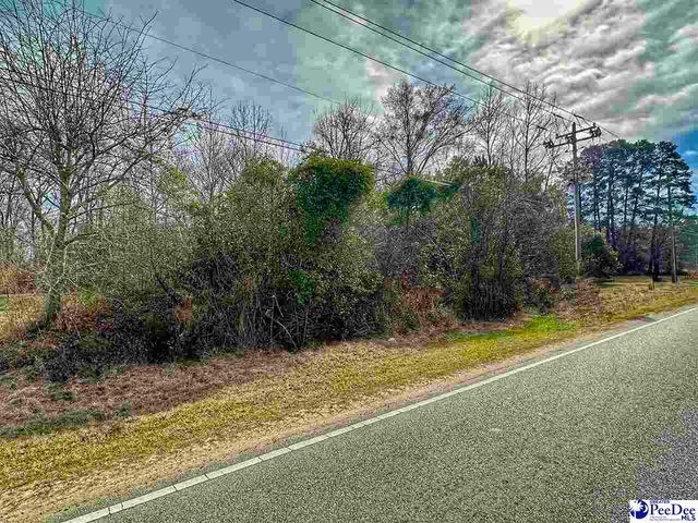 Lot 3 W Main Street, Dillon, SC 29536