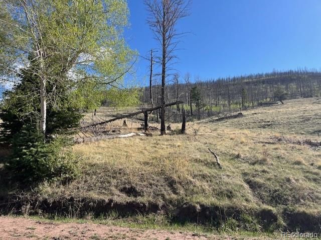 448 Wagon Mesa Loop, Fort Garland, CO 81133