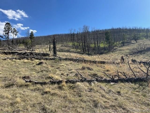 448 Wagon Mesa Loop, Fort Garland, CO 81133