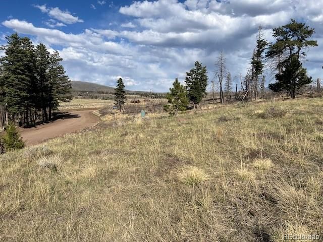 448 Wagon Mesa Loop, Fort Garland, CO 81133