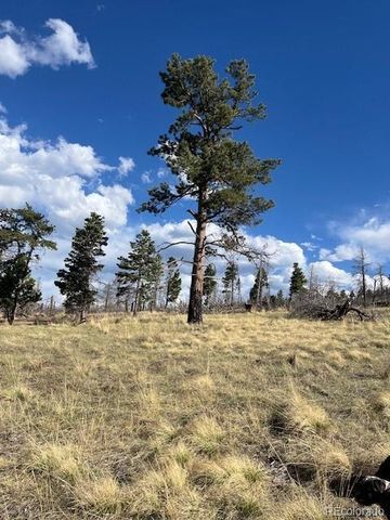 448 Wagon Mesa Loop, Fort Garland, CO 81133