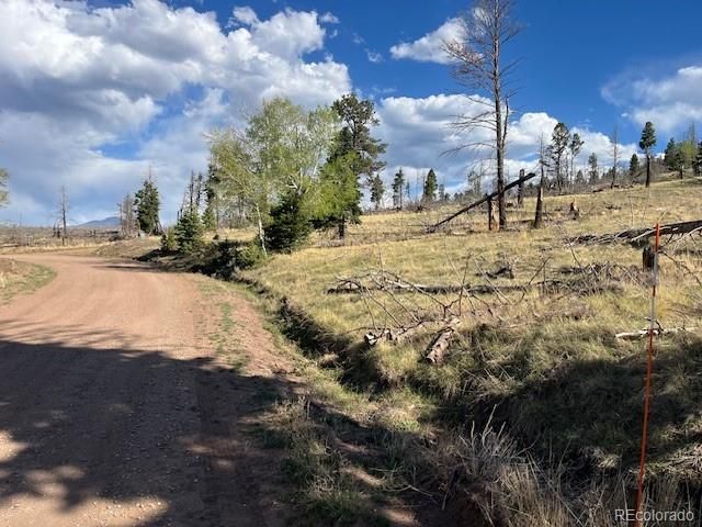 448 Wagon Mesa Loop, Fort Garland, CO 81133