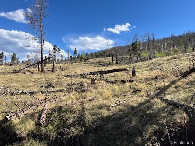 448 Wagon Mesa Loop, Fort Garland, CO 81133