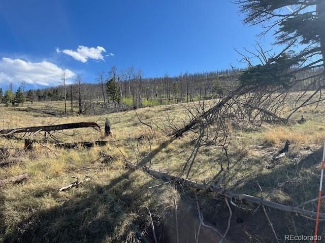 448 Wagon Mesa Loop, Fort Garland, CO 81133