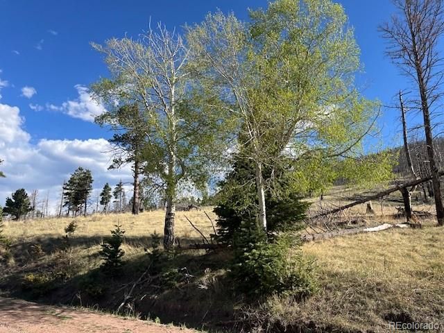 448 Wagon Mesa Loop, Fort Garland, CO 81133