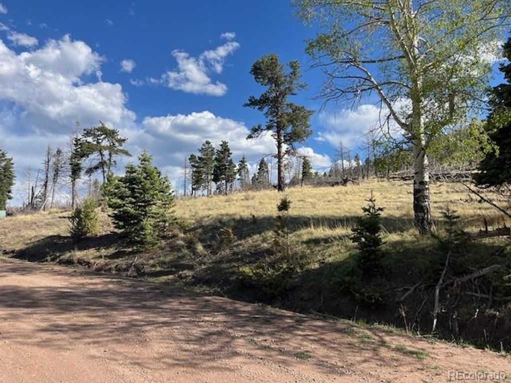 448 Wagon Mesa Loop, Fort Garland, CO 81133