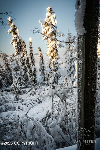 L27 US Survey 3484, Glennallen, AK 99588