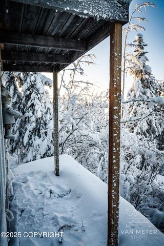 L27 US Survey 3484, Glennallen, AK 99588