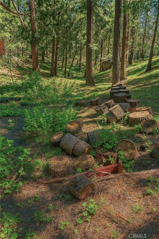 10520 Spruce Drive, Wofford Heights, CA 93285