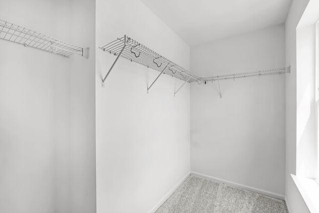 12321 Tinsley Street, Huntley, IL 60142