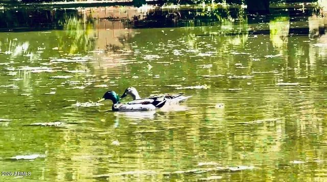 5116 W LA MIRADA Drive, Laveen, AZ 85339