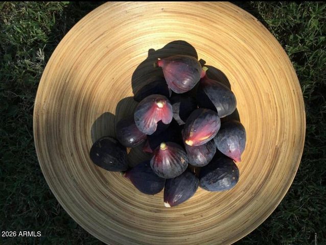 5116 W LA MIRADA Drive, Laveen, AZ 85339