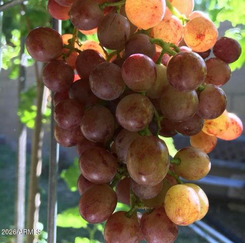 5116 W LA MIRADA Drive, Laveen, AZ 85339