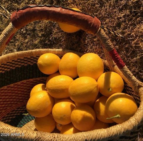 5116 W LA MIRADA Drive, Laveen, AZ 85339