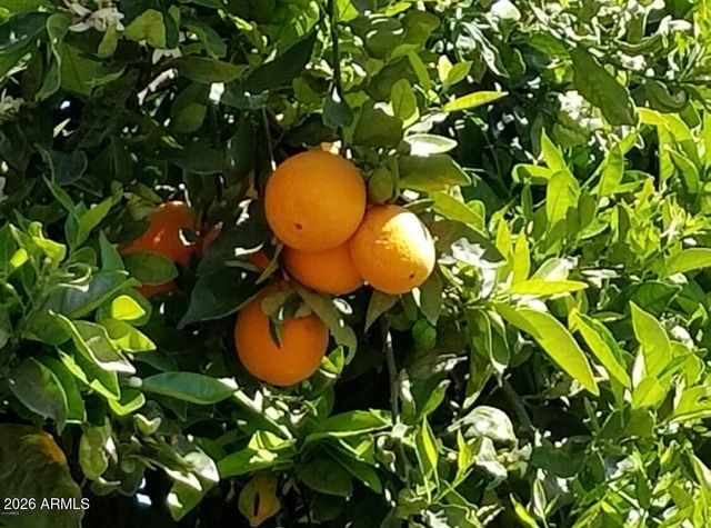 5116 W LA MIRADA Drive, Laveen, AZ 85339