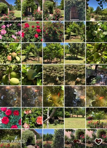 5116 W LA MIRADA Drive, Laveen, AZ 85339