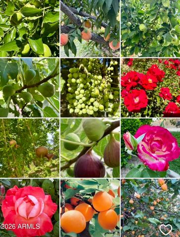 5116 W LA MIRADA Drive, Laveen, AZ 85339