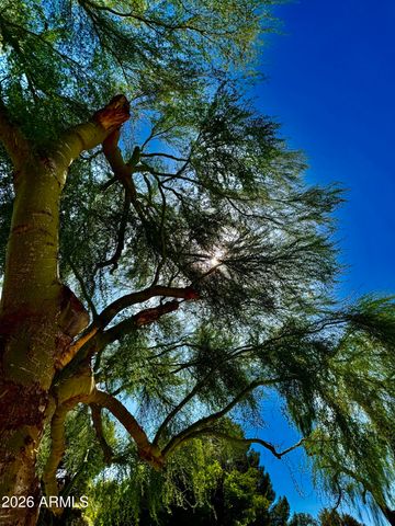 5116 W LA MIRADA Drive, Laveen, AZ 85339