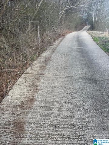 4731 PALOS ROAD, Dora, AL 35130