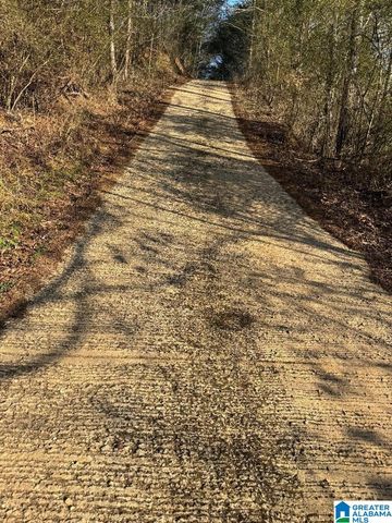 4731 PALOS ROAD, Dora, AL 35130