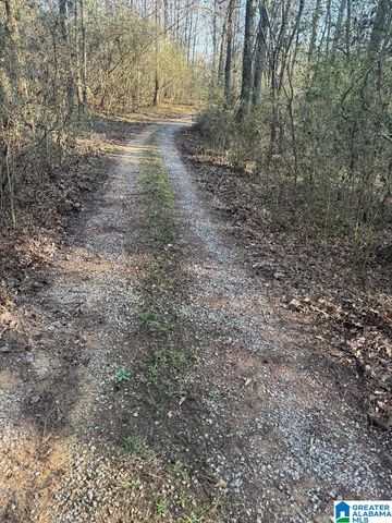 4731 PALOS ROAD, Dora, AL 35130