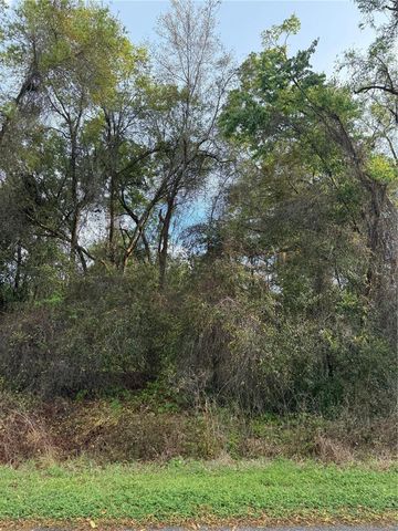 TBT SE 48TH COURT, Summerfield, FL 34491