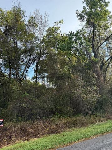 TBT SE 48TH COURT, Summerfield, FL 34491