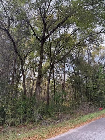 TBT SE 48TH COURT, Summerfield, FL 34491