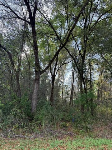 TBT SE 48TH COURT, Summerfield, FL 34491