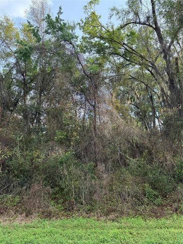 TBT SE 48TH COURT, Summerfield, FL 34491