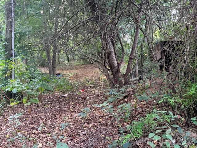 173 & 175 Dix Creek Chapel Road, Asheville, NC 28806