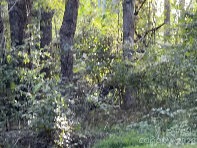 173 & 175 Dix Creek Chapel Road, Asheville, NC 28806