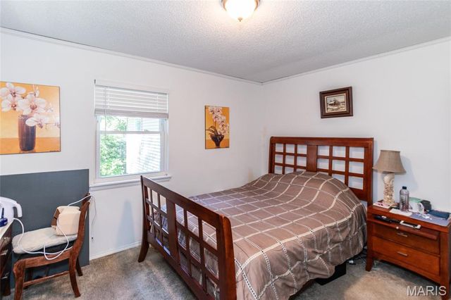 3637 Blecha Road, Imperial, MO 63052