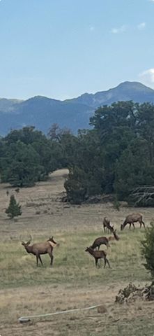 17 Jackass Lane, Datil, NM 87821