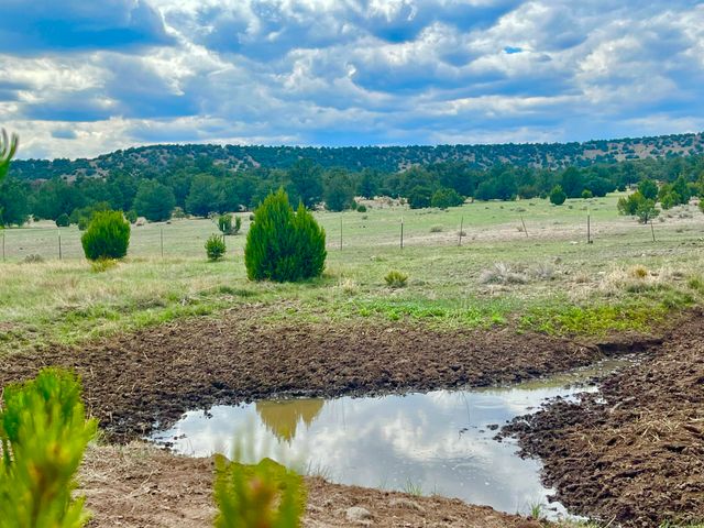 17 Jackass Lane, Datil, NM 87821
