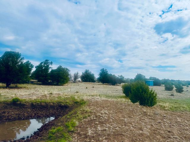 17 Jackass Lane, Datil, NM 87821