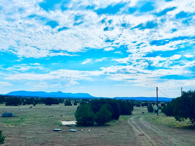 17 Jackass Lane, Datil, NM 87821