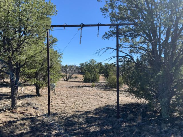 17 Jackass Lane, Datil, NM 87821