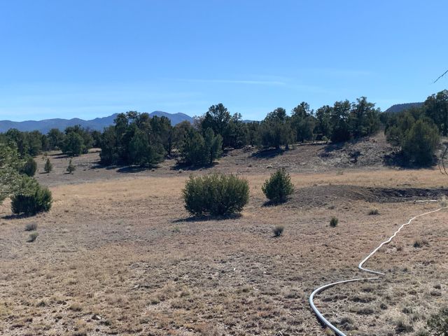 17 Jackass Lane, Datil, NM 87821