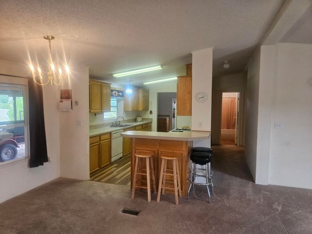 17 Jackass Lane, Datil, NM 87821