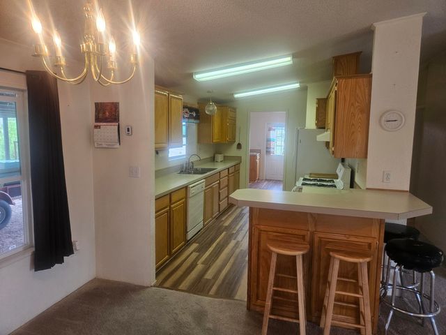 17 Jackass Lane, Datil, NM 87821