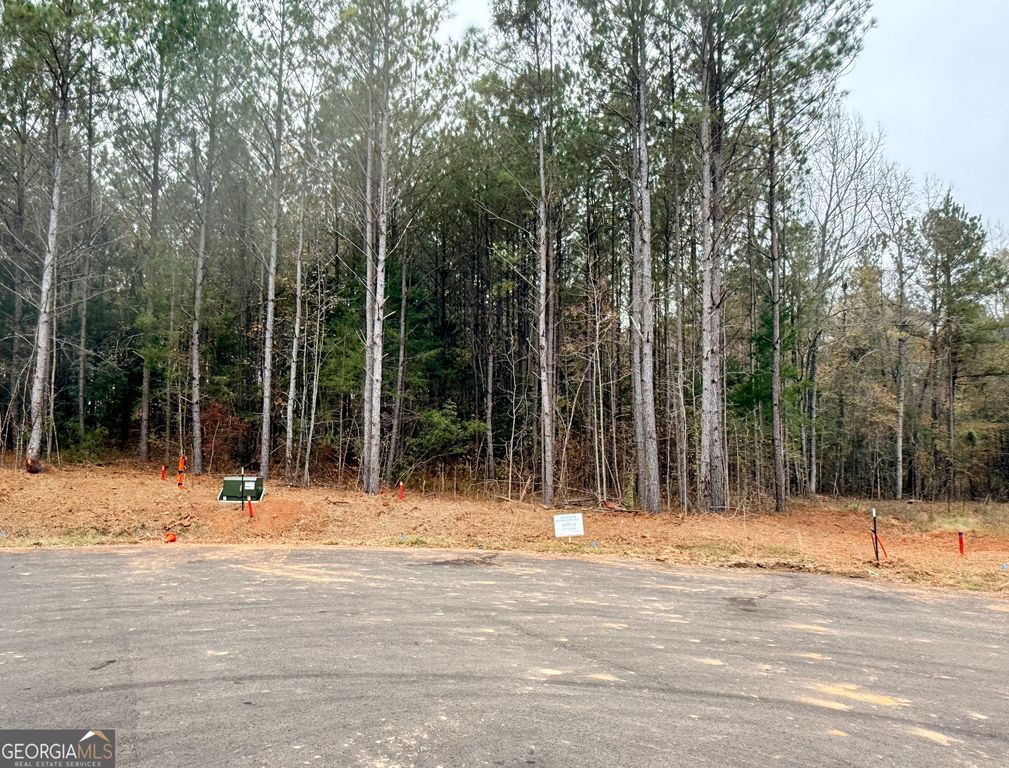 LOT 16 Rolling Meadows Way, Waverly Hall, GA 31831