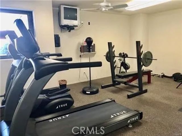 2121 Beloit 205, Los Angeles, CA 90025