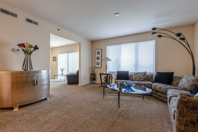 351 Town Place Circle 503, Buffalo Grove, IL 60089