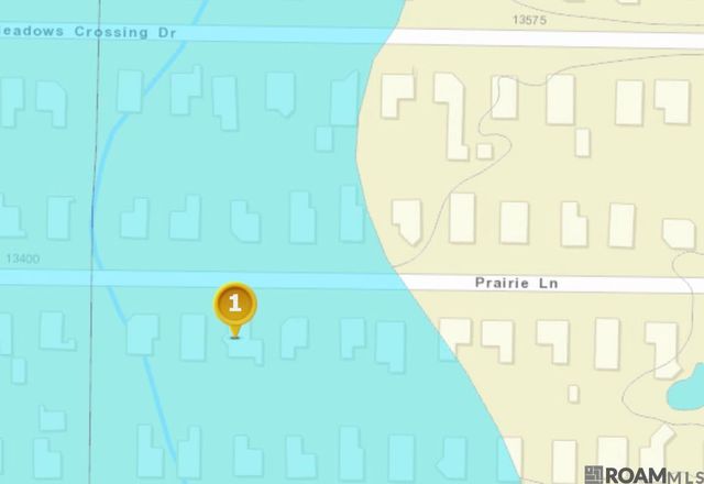 13492 Prairie Ln, Walker, LA 70785
