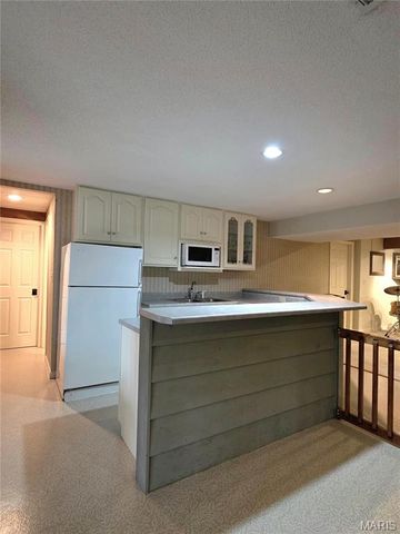 1111 Ecko Lane, Washington, MO 63090