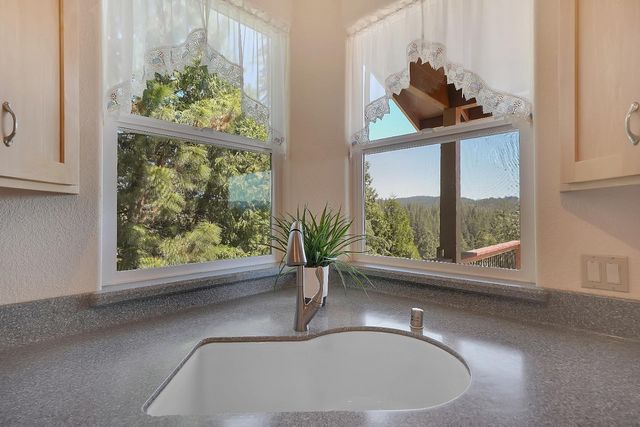 16724 Alpine Dr, Pioneer, CA 95666