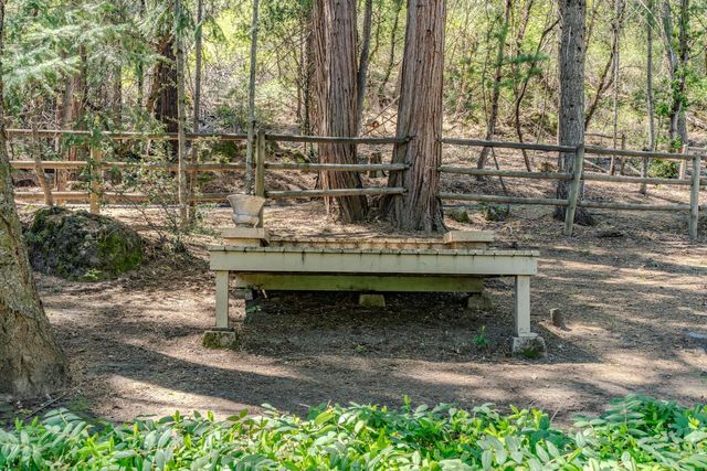 16724 Alpine Dr, Pioneer, CA 95666